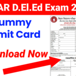 Bihar D.El.Ed Admit Card